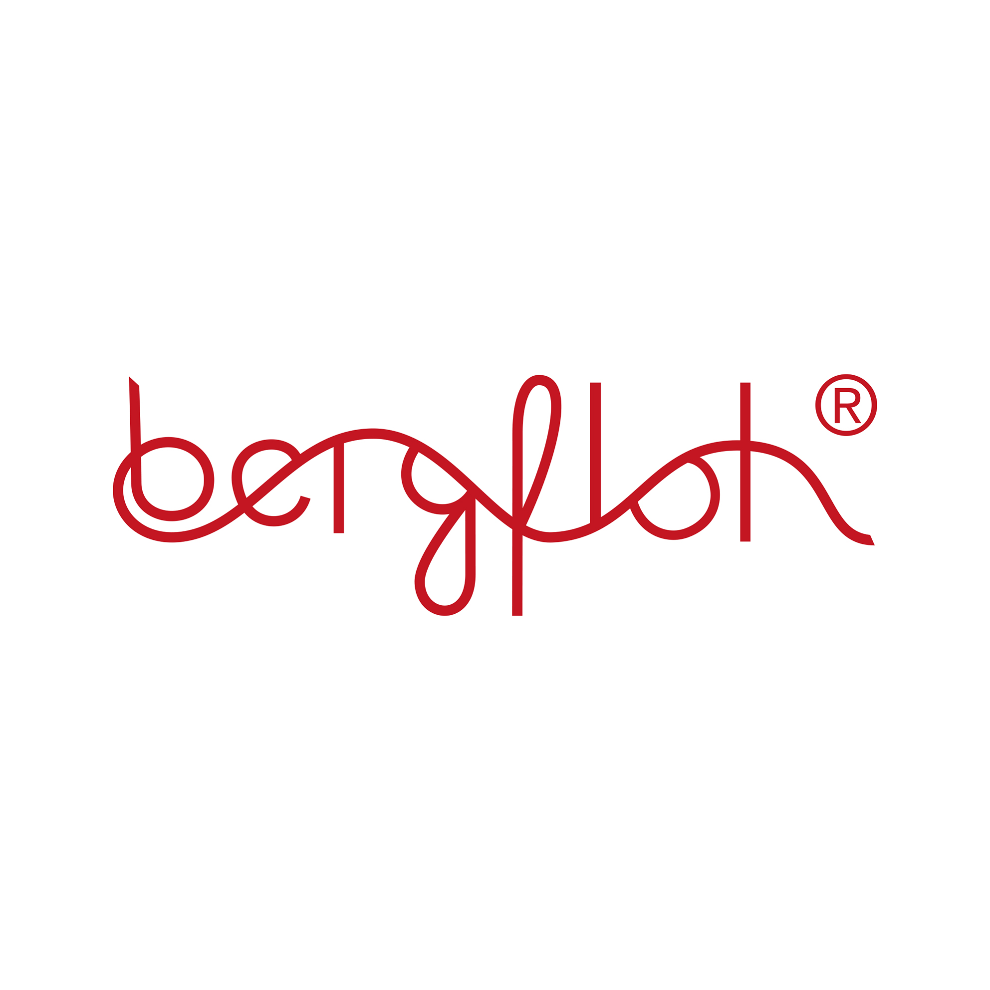 bergfloh Logo