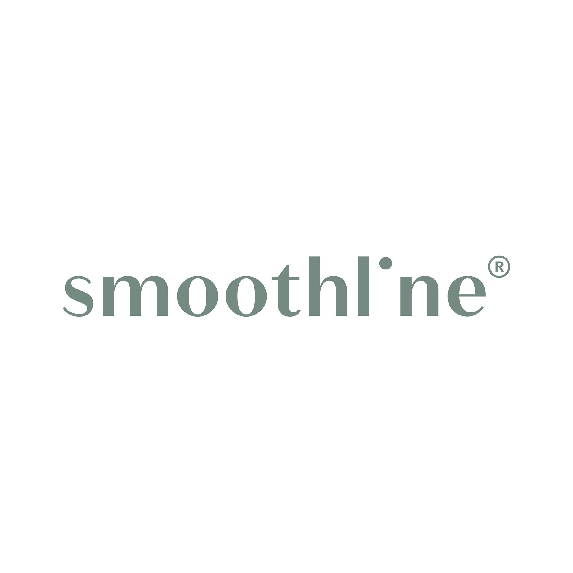 Schriftzug als Logo von Smoothline in Zürich