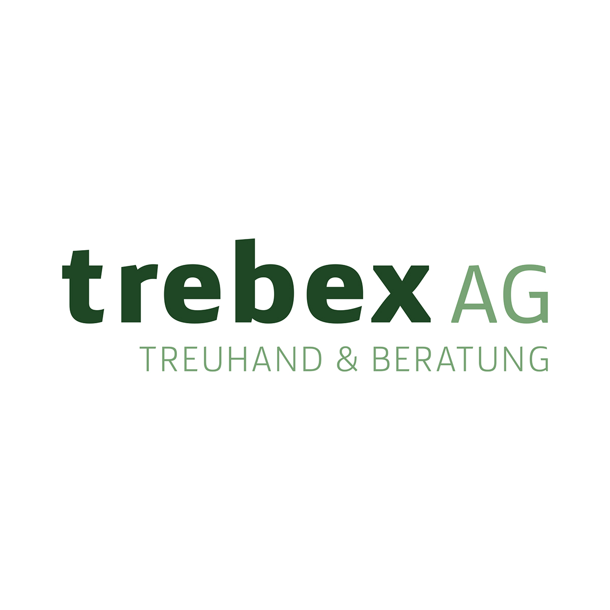 Schriftzug in Grüntönen als Logo von trebex AG Treuhand & Beratung
